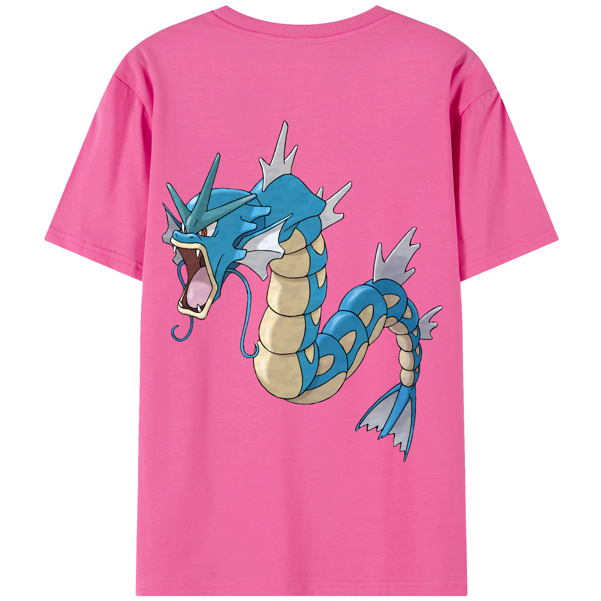 （画像用） ポケットモンスター Pokémon レディース半袖Tシャツ(バックプリント)